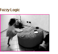 Fuzzy logic